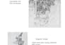 draw a realistic pencil portrait or graphite illustration